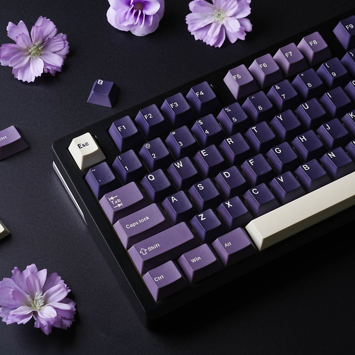 Cherry Profile — Non-translucent