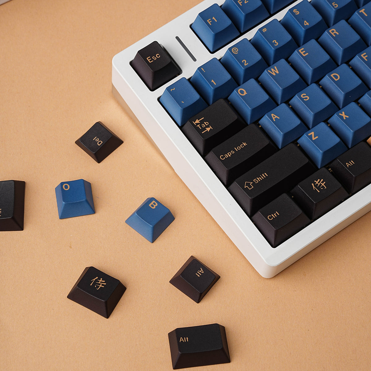 蓝武士 keycap set lifestyle photo