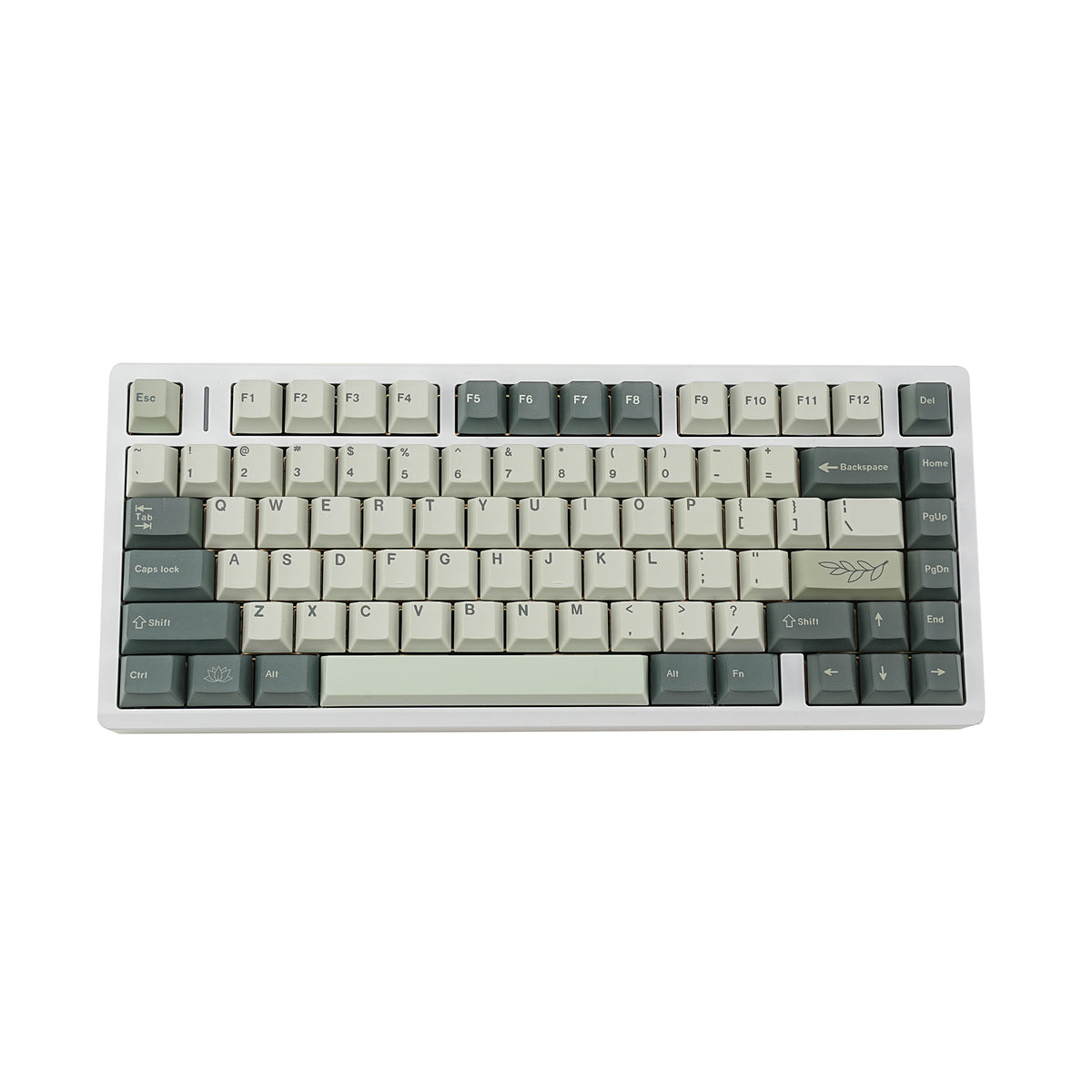 植物园 keycap set lifestyle photo
