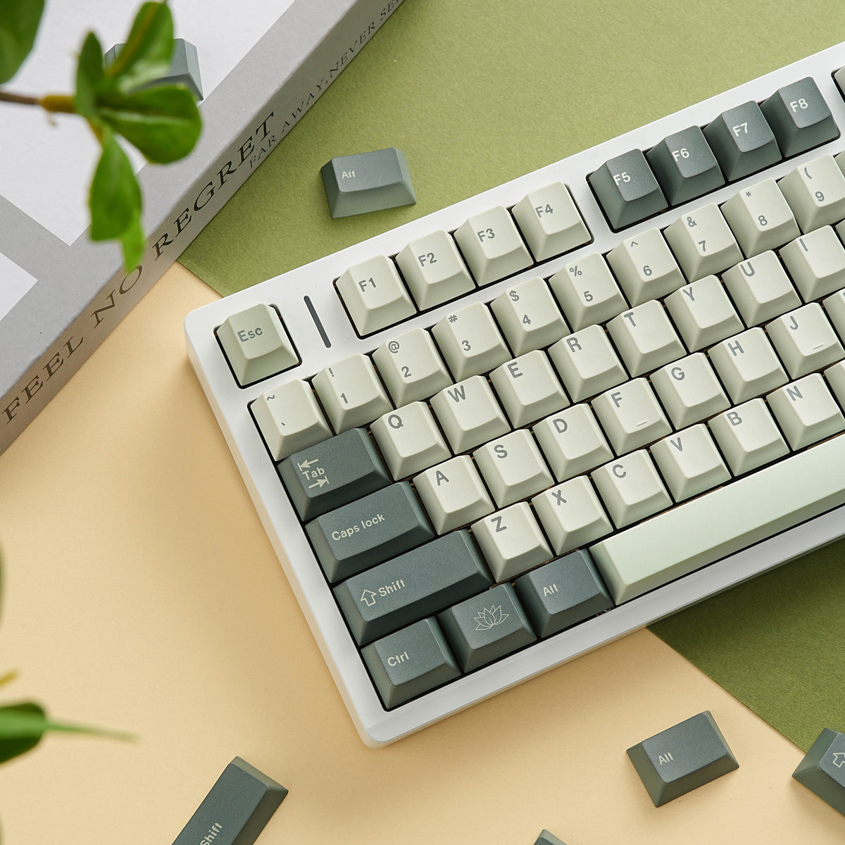 植物园 keycap set lifestyle photo