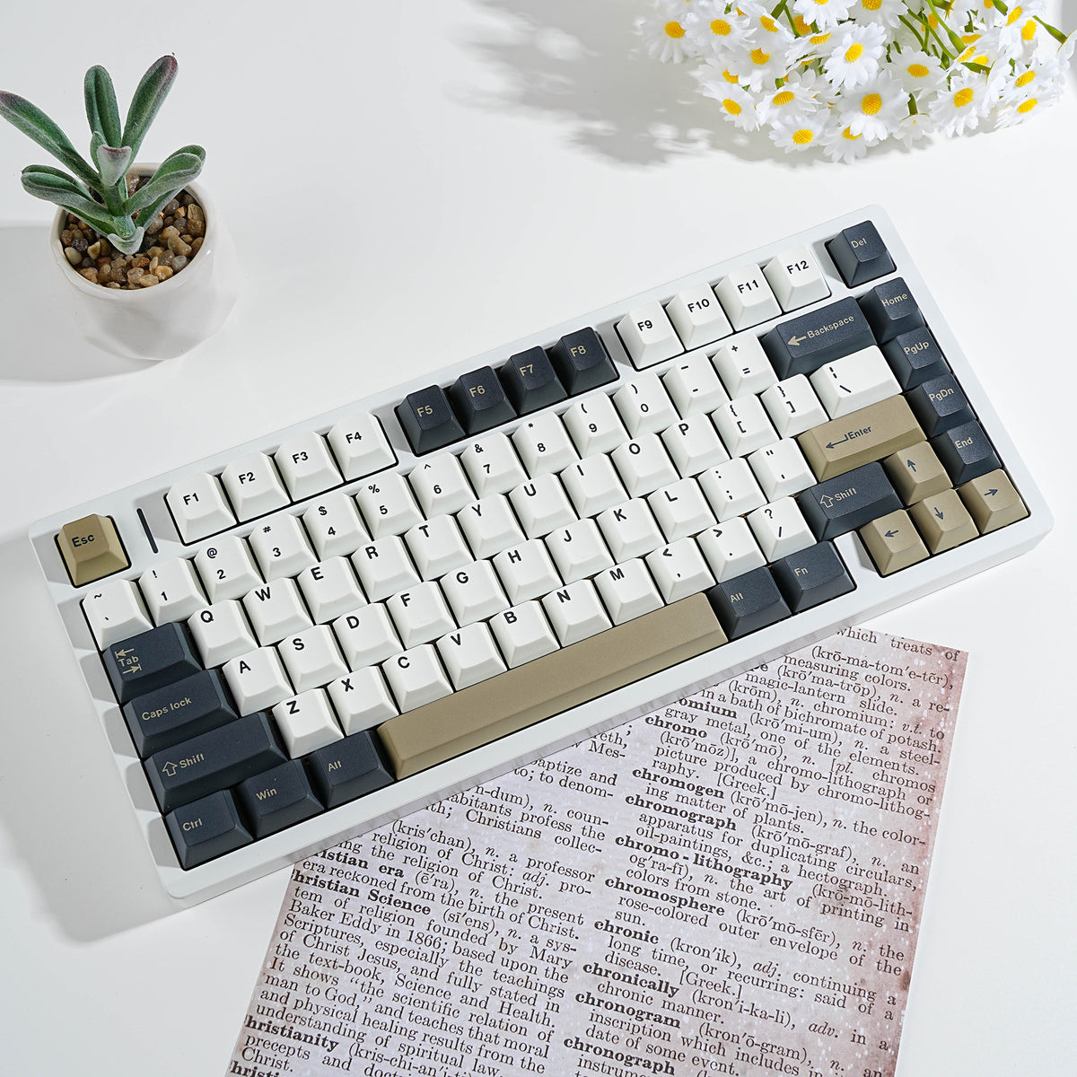 橄榄 keycap set lifestyle photo